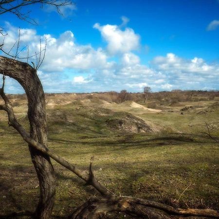 Вілла Hogezoom 131 Ренессе Екстер'єр фото